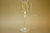 Verre de Champagne incassable 180 ml (Tritan) Cx 12 Uni