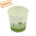 Verre en Carton - Green Cup - 100 % Biodégradable 100ml