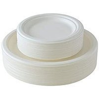 Disposable Plates